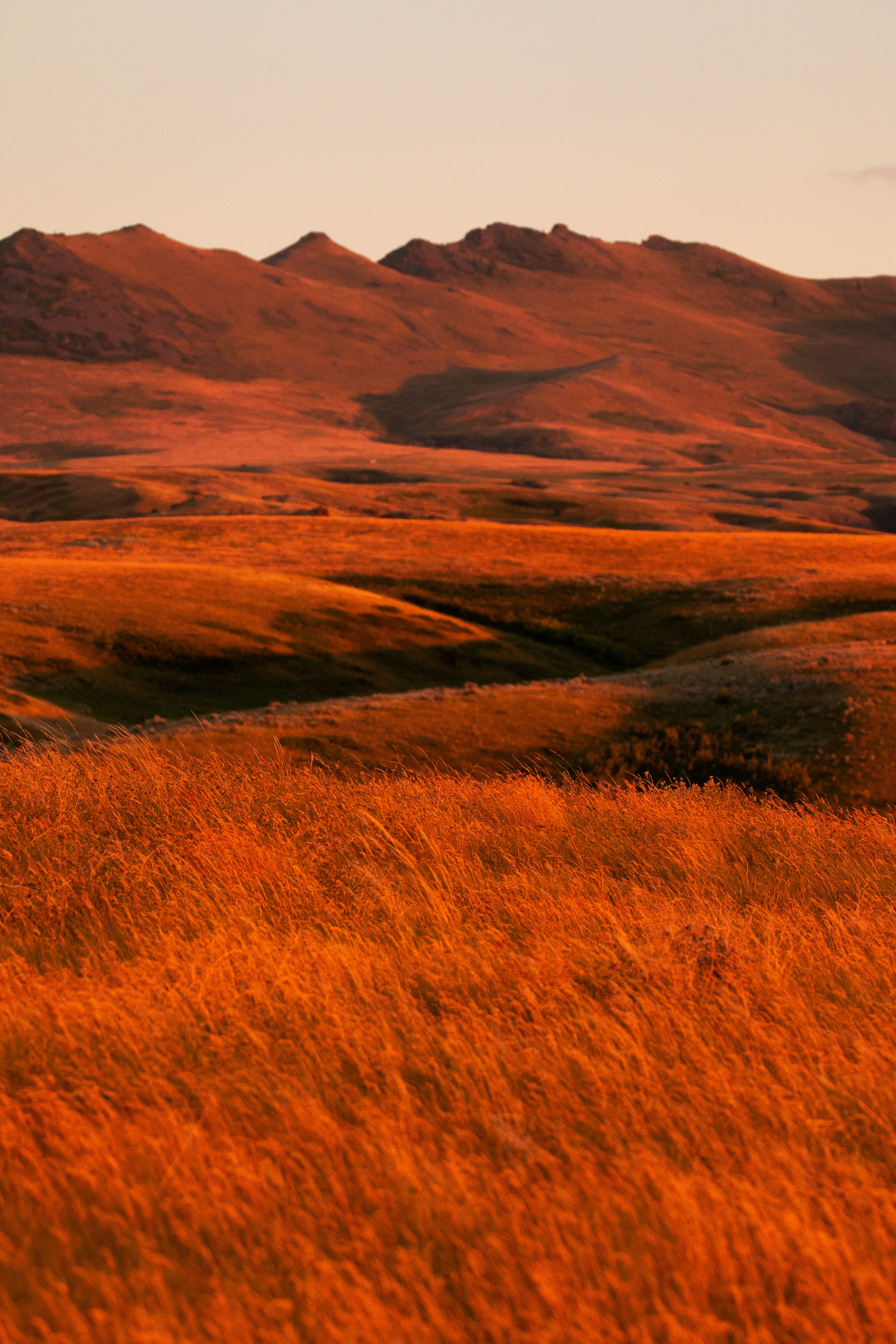 brown mountain and grass field during daytime